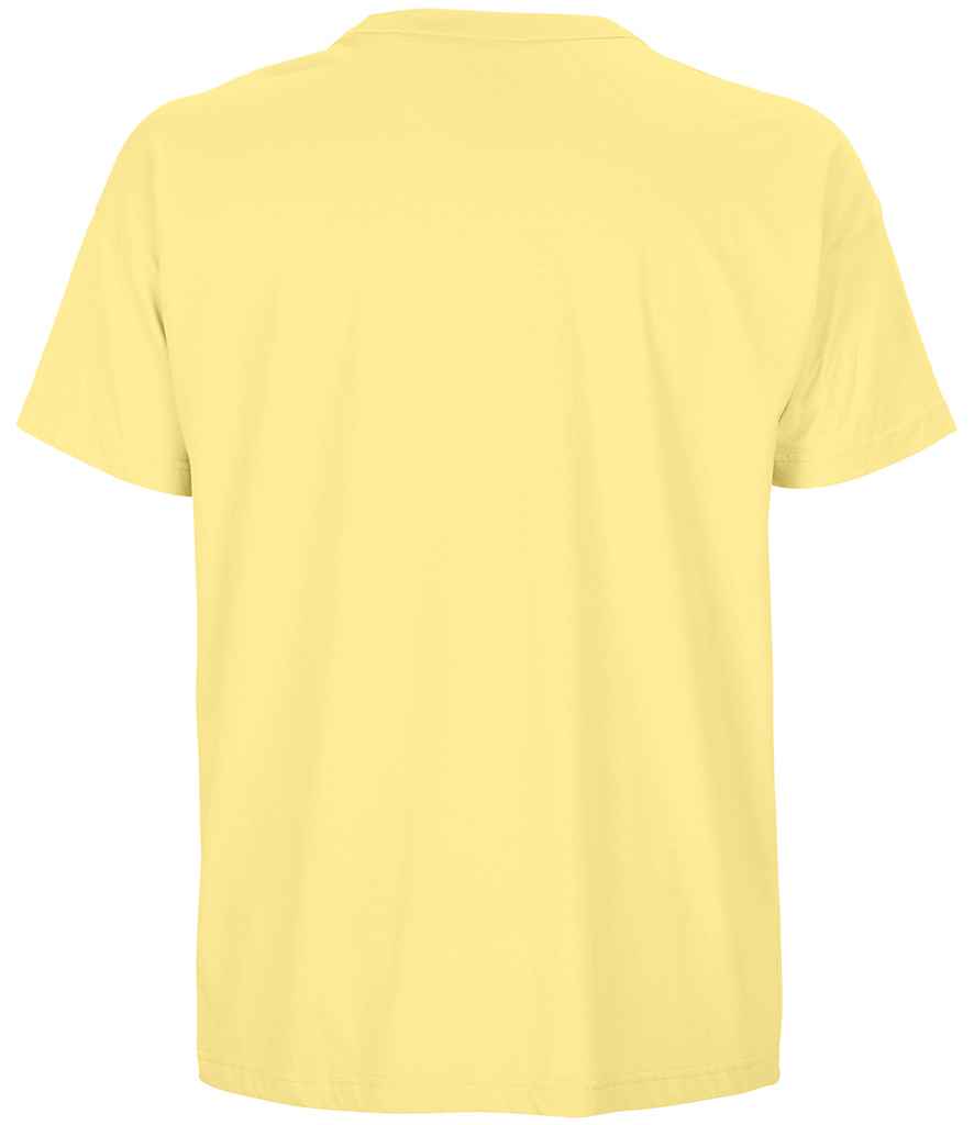 03806 Light Yellow Back